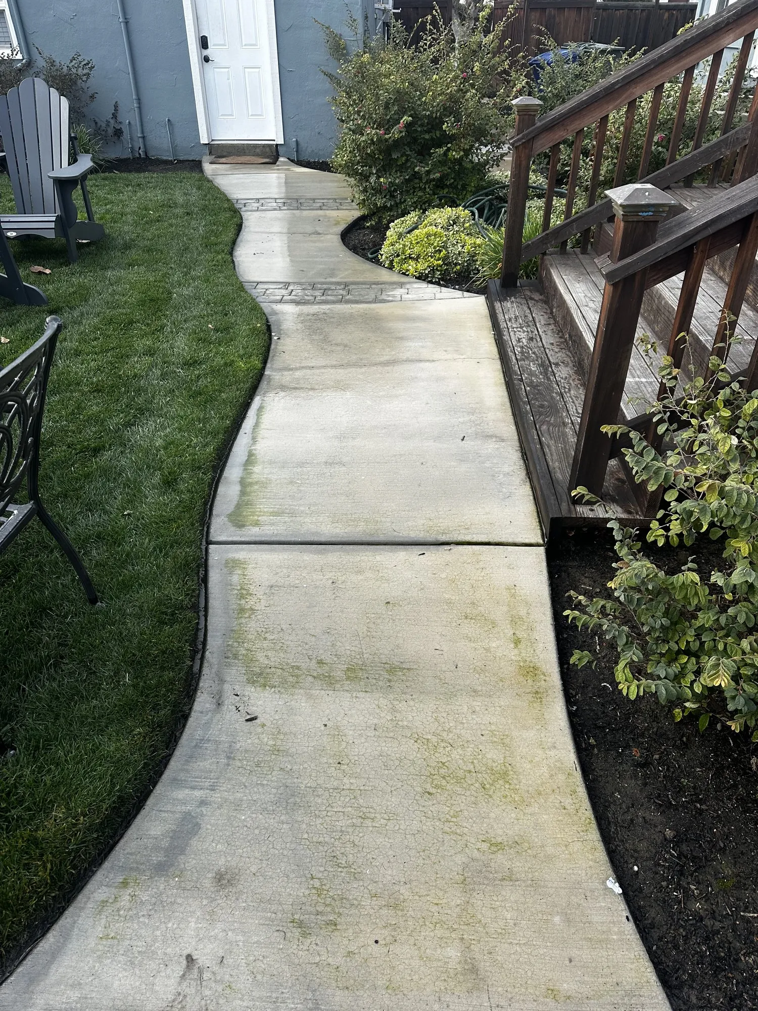 Algae on a concrete walkway — after