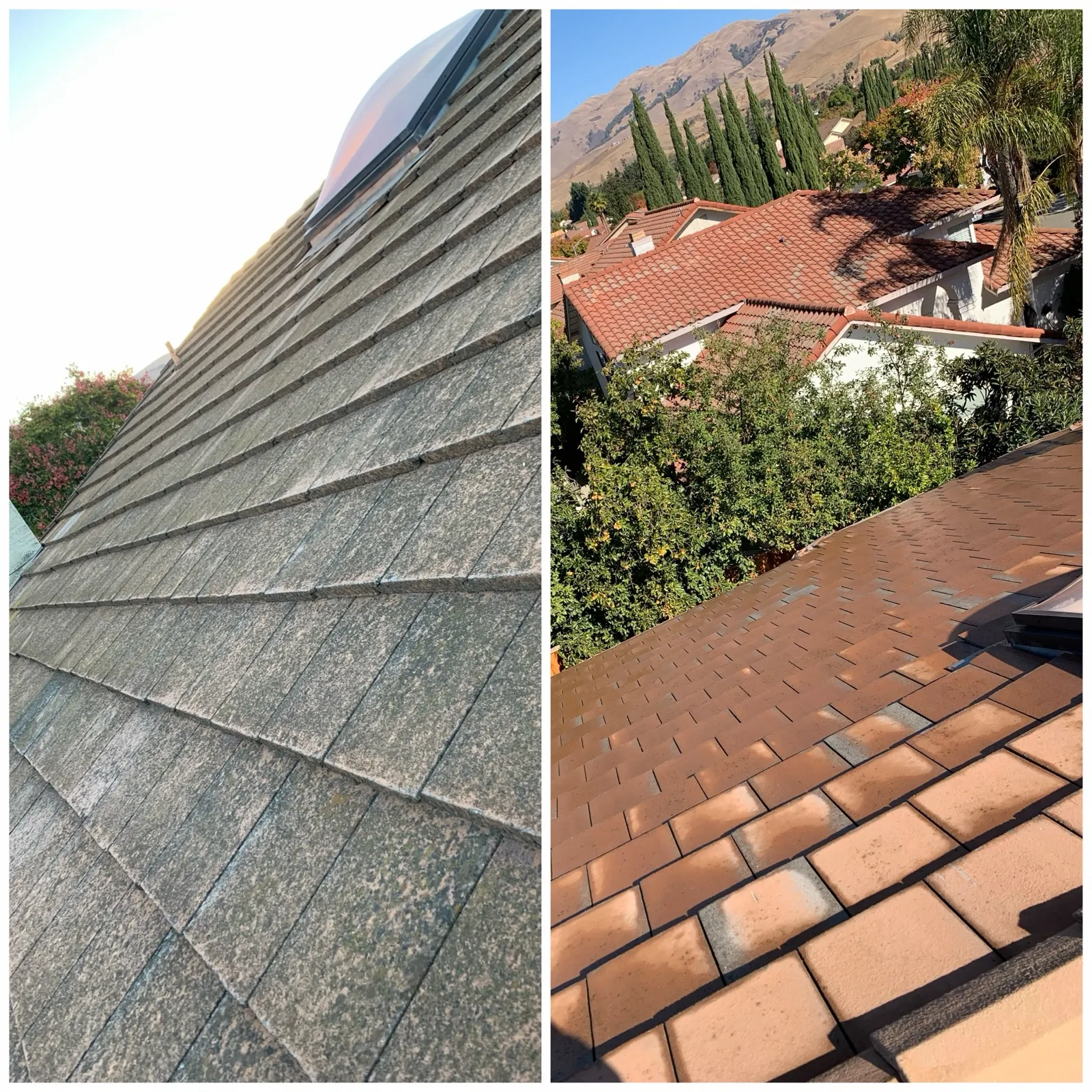 Flat tile roof