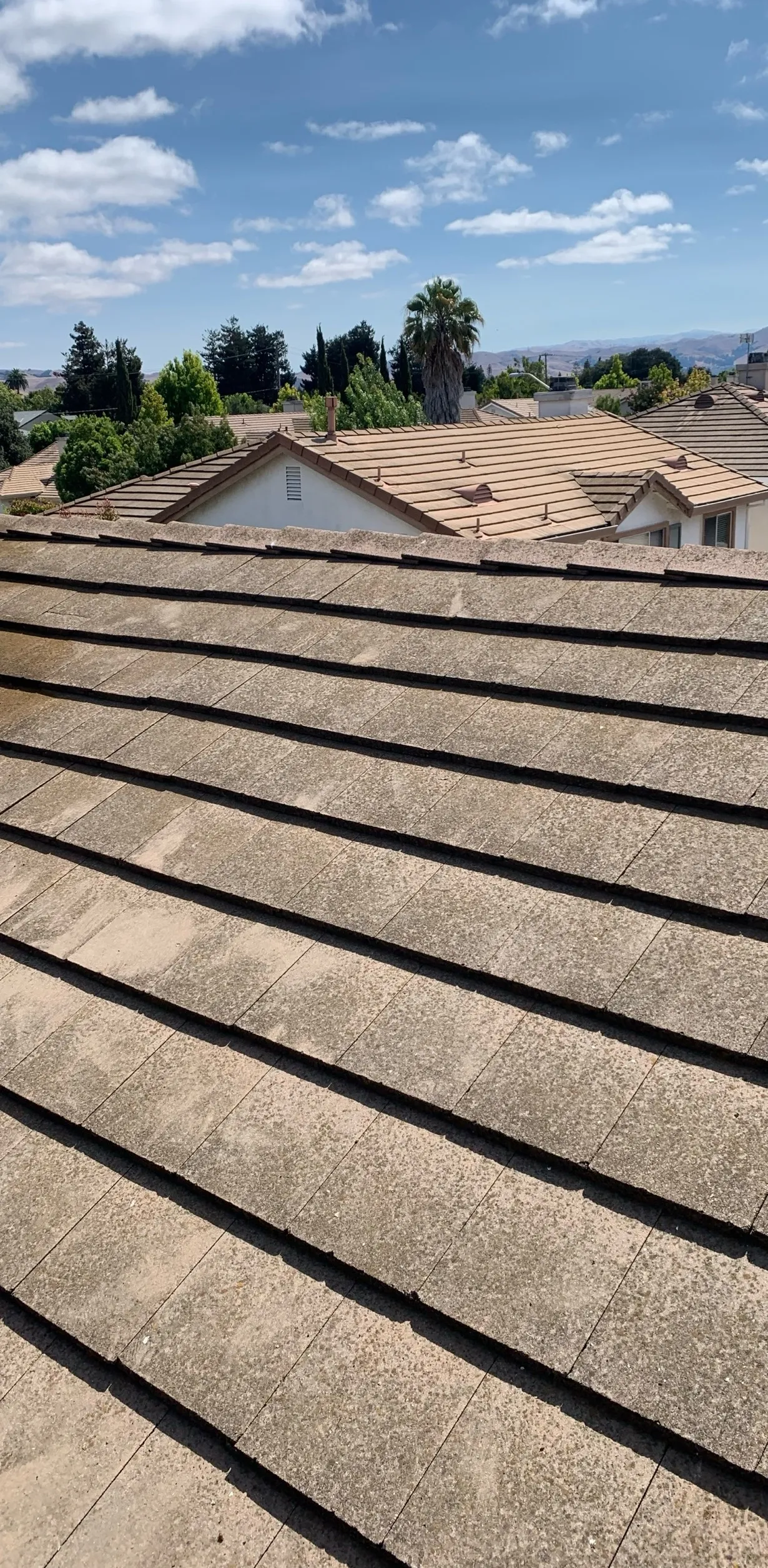 Flat Tile Roof — before