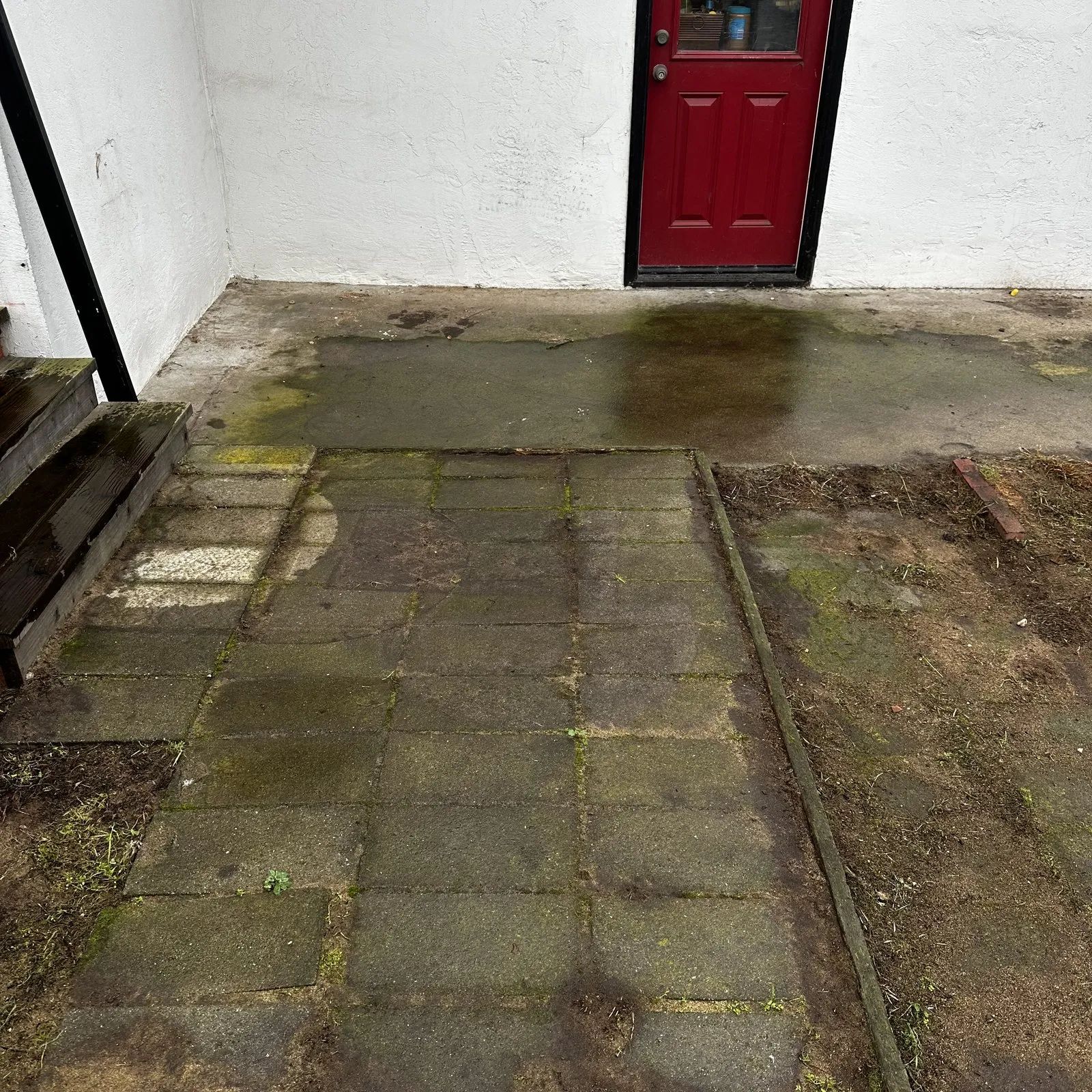 Stucco house wash